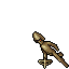 Mitmah Scout